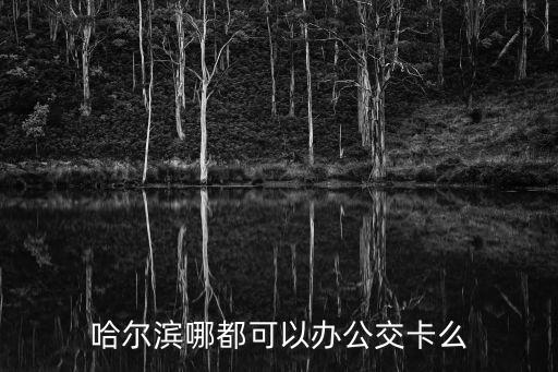 哈爾濱哪都可以辦公交卡么