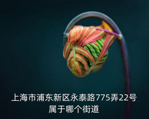 永泰路，上海蓮花路永泰路有什么好玩的