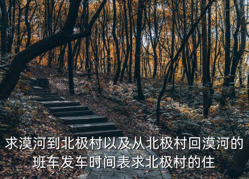 求漠河到北極村以及從北極村回漠河的班車發(fā)車時(shí)間表求北極村的住