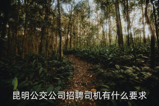 昆明公交公司招聘司機有什么要求