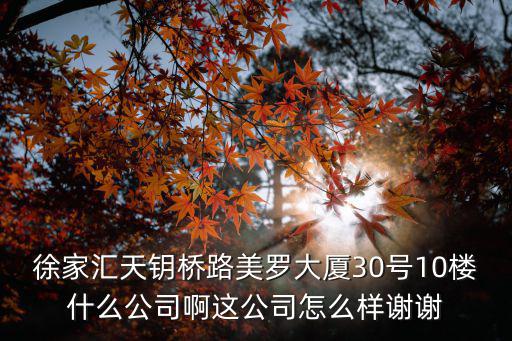 徐家匯天鑰橋路美羅大廈30號(hào)10樓什么公司啊這公司怎么樣謝謝