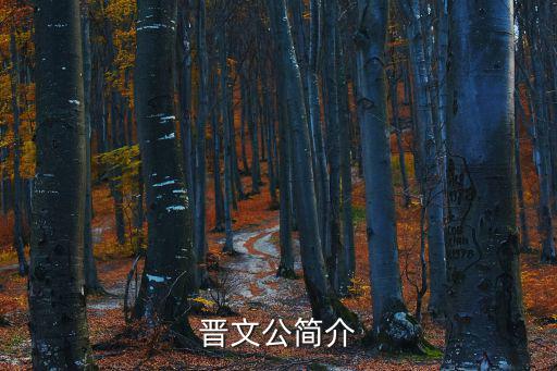 晉文公簡介