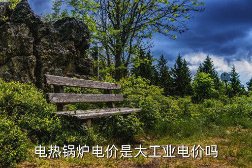 電熱鍋爐電價是大工業電價嗎