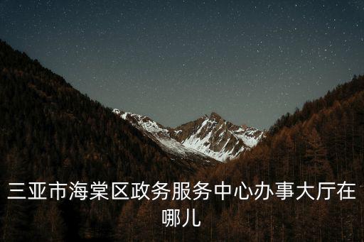 三亞市海棠區政務服務中心辦事大廳在哪兒