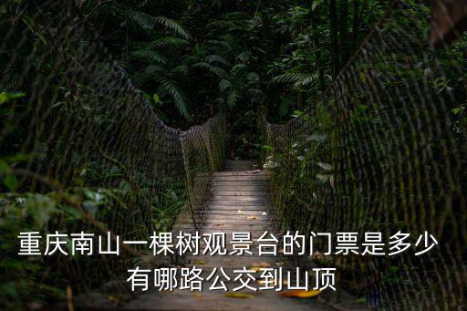 重慶南山一棵樹觀景臺的門票是多少 有哪路公交到山頂
