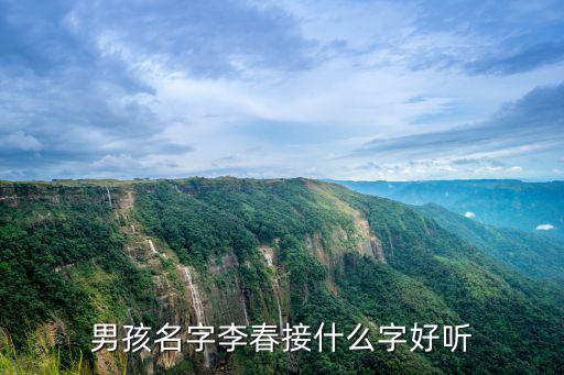 男孩名字李春接什么字好聽