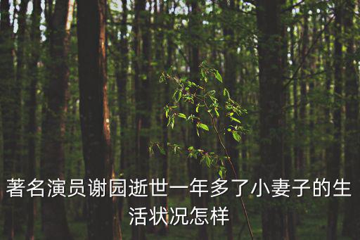著名演員謝園逝世一年多了小妻子的生活狀況怎樣
