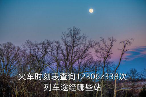 火車時刻表查詢12306z338次列車途經哪些站