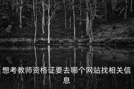 教資報名網站，考教師資格證的網站那么多哪個是官網