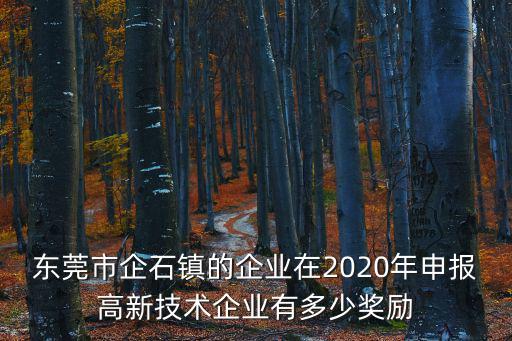 東莞市企石鎮的企業在2020年申報高新技術企業有多少獎勵