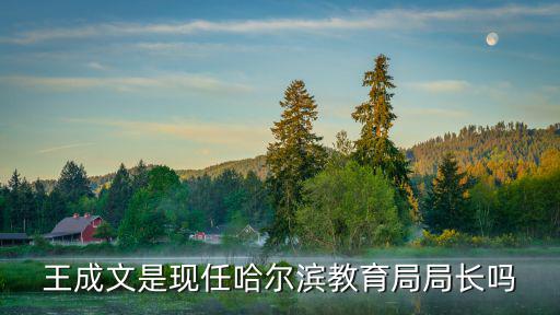 王成文是現任哈爾濱教育局局長嗎