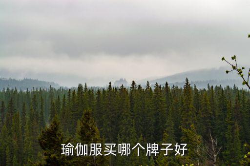 瑜伽服買(mǎi)哪個(gè)牌子好