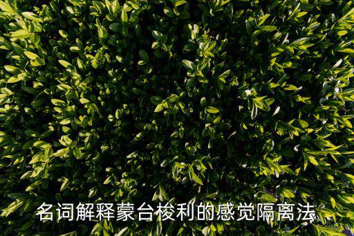 名詞解釋蒙臺梭利的感覺隔離法