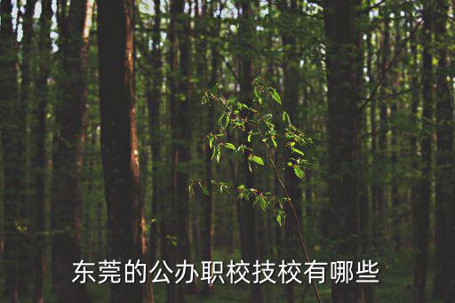 東莞的公辦職校技校有哪些