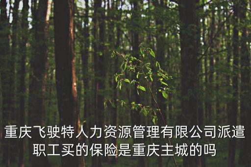 重慶飛駛特人力資源管理有限公司派遣職工買的保險是重慶主城的嗎