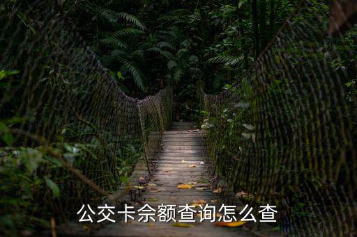 公交卡佘額查詢怎么查