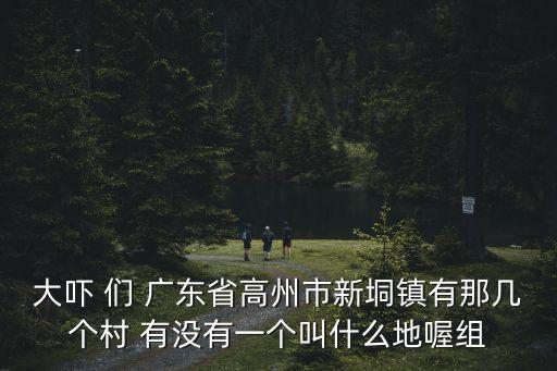 大嚇 們 廣東省高州市新垌鎮有那幾個村 有沒有一個叫什么地喔組