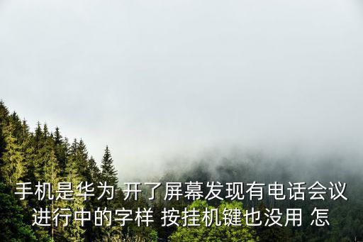 手機(jī)是華為 開了屏幕發(fā)現(xiàn)有電話會議進(jìn)行中的字樣 按掛機(jī)鍵也沒用 怎