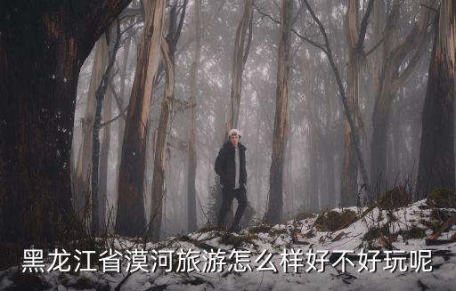 黑龍江漠河，黑龍江的漠河 塔河 加區 都是什么地方 哪個屬于哪個