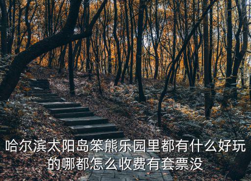 哈爾濱太陽島笨熊樂園里都有什么好玩的哪都怎么收費有套票沒