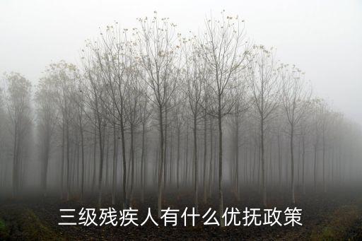三級(jí)殘疾人有什么優(yōu)撫政策