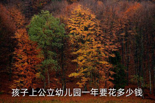 孩子上公立幼兒園一年要花多少錢