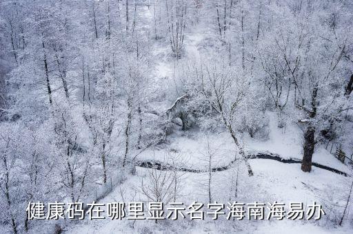 海南省健康碼，我在重慶準(zhǔn)備去海南申請了海南健康碼為什么渝康碼顏色變成了淡
