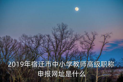 2019年宿遷市中小學(xué)教師高級(jí)職稱申報(bào)網(wǎng)址是什么