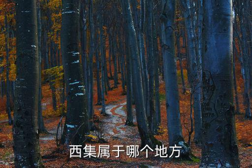 西集鎮(zhèn)，北京市通州區(qū)西集鎮(zhèn)郵編是多少