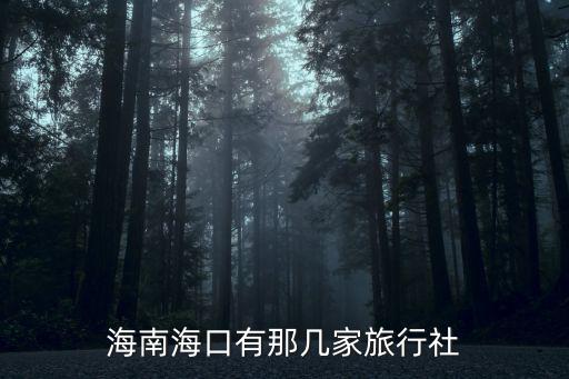 海南海口有那幾家旅行社