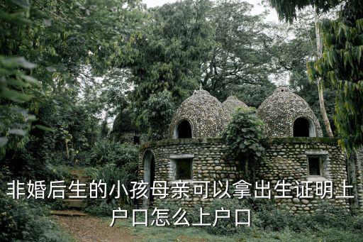 非婚后生的小孩母親可以拿出生證明上戶口怎么上戶口