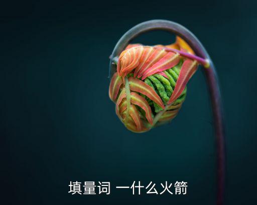 一什么火箭，火箭應該用什么量詞
