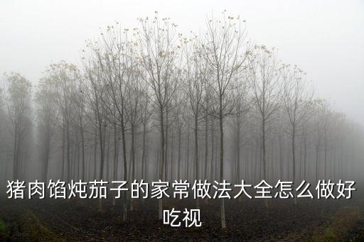豬肉餡燉茄子的家常做法大全怎么做好吃視