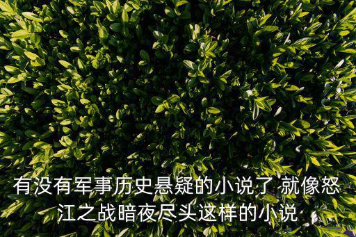 有沒有軍事歷史懸疑的小說了 就像怒江之戰暗夜盡頭這樣的小說