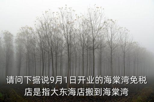 海棠灣免稅店，海棠灣免稅店幾點開門