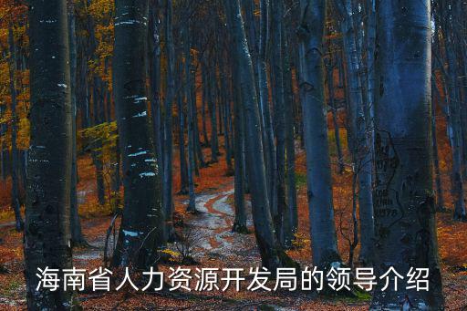 海南省人力資源，海南省大中專畢業生指導中心在哪