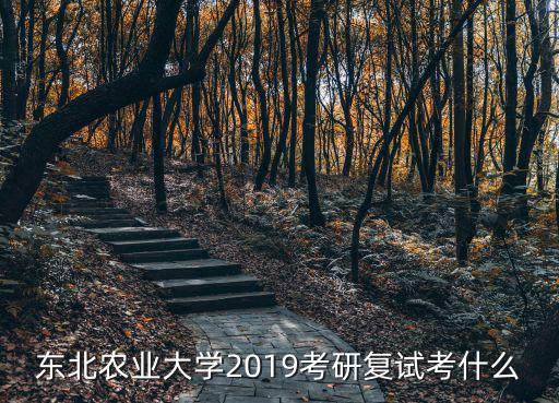 東北農(nóng)業(yè)大學(xué)2019考研復(fù)試考什么