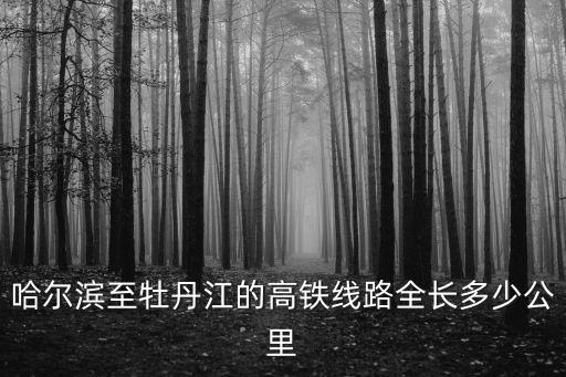 哈爾濱至牡丹江的高鐵線路全長多少公里