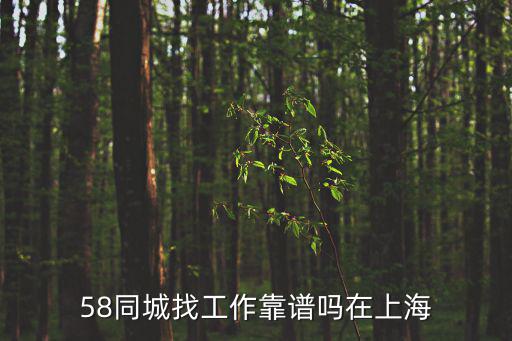 58同城找工作靠譜嗎在上海