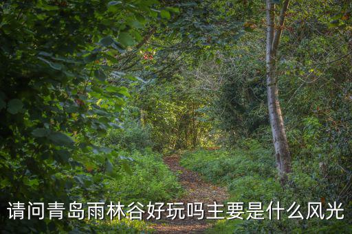 請問青島雨林谷好玩嗎主要是什么風光