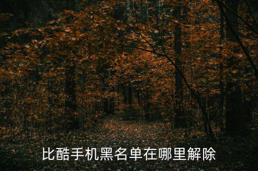 比酷手機黑名單在哪里解除