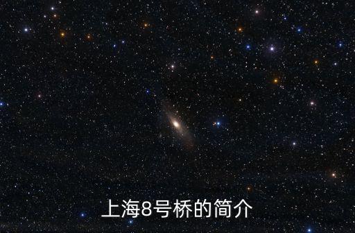 上海8號橋的簡介