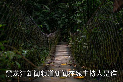 黑龍江新聞頻道新聞在線主持人是誰