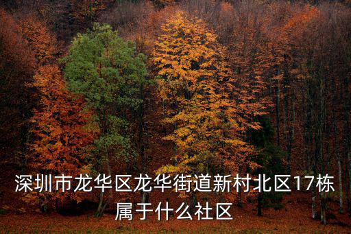深圳市龍華區龍華街道新村北區17棟屬于什么社區