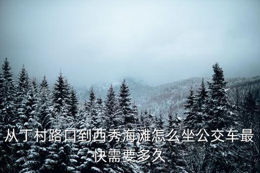 從丁村路口到西秀海灘怎么坐公交車最快需要多久