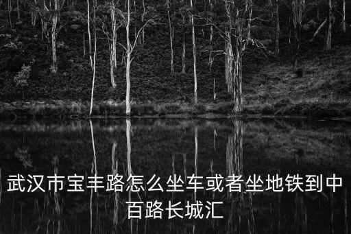武漢市寶豐路怎么坐車或者坐地鐵到中百路長城匯