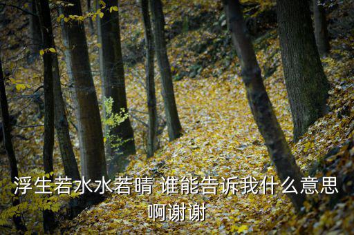 浮生若水水若晴 誰能告訴我什么意思啊謝謝