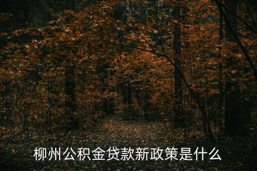 柳州公積金貸款新政策是什么