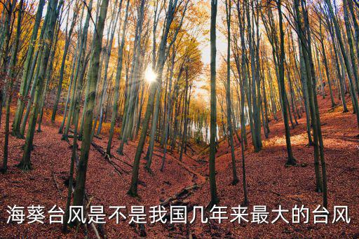 海葵臺風，海葵臺風會到桐鄉嗎