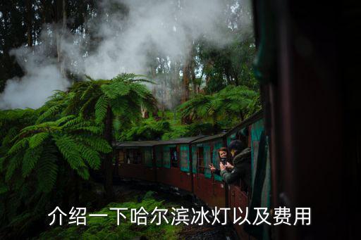 哈爾濱冰燈，介紹一下哈爾濱冰燈以及費用